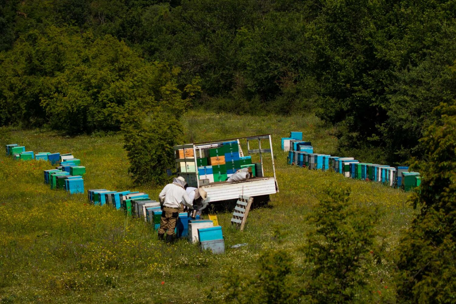 melissokomoi-paliouri